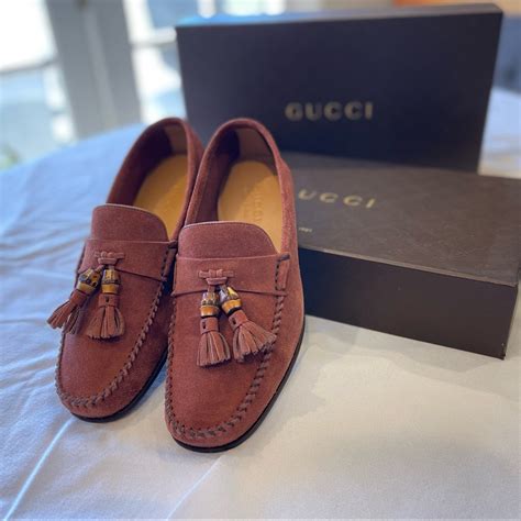 gucci terra